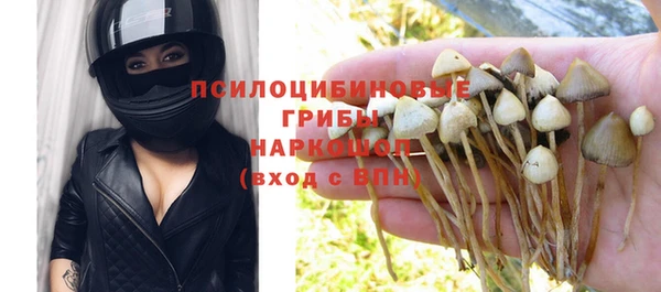 дживик Покров