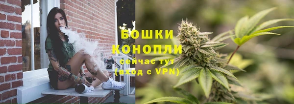 ГАЛЛЮЦИНОГЕННЫЕ ГРИБЫ Протвино
