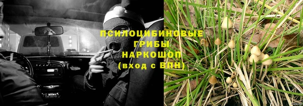 дживик Покров